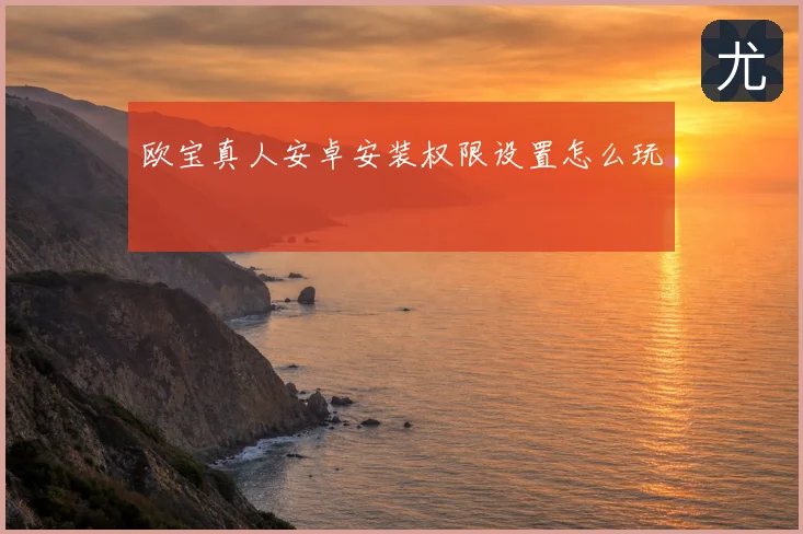 欧宝真人安卓安装权限设置怎么玩